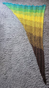 Raveneld shawl Crochet pattern